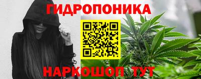 гашик Нягань